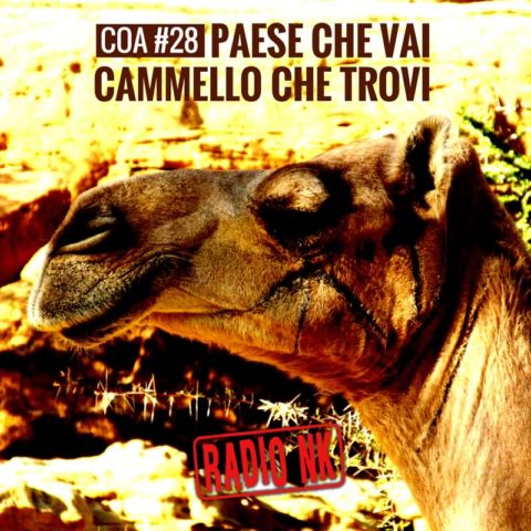 COA #28 – Paese che vai, cammello che trovi.