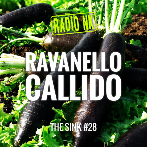 The SINK #28: Ravanello Callido (era: NK live @ Alfonsines)