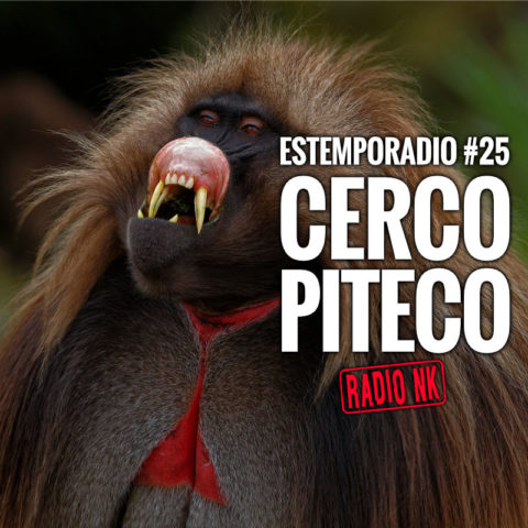 Estemporadio #25 – Cerco Piteco